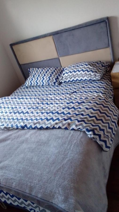 Apartman Branko コラシン エクステリア 写真
