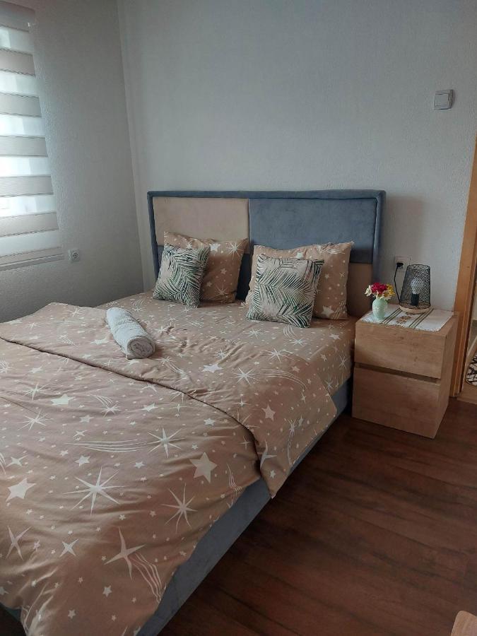 Apartman Branko コラシン エクステリア 写真